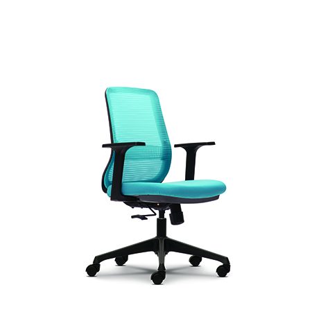 promesh2mbfixed